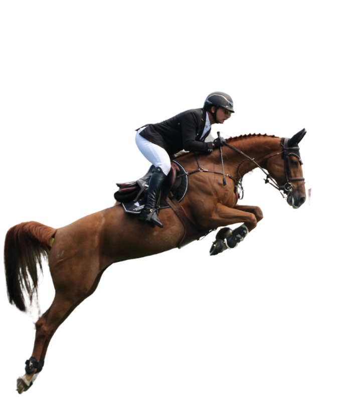 Equestrian